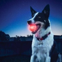 Nite Ize GlowStreak LED Boll