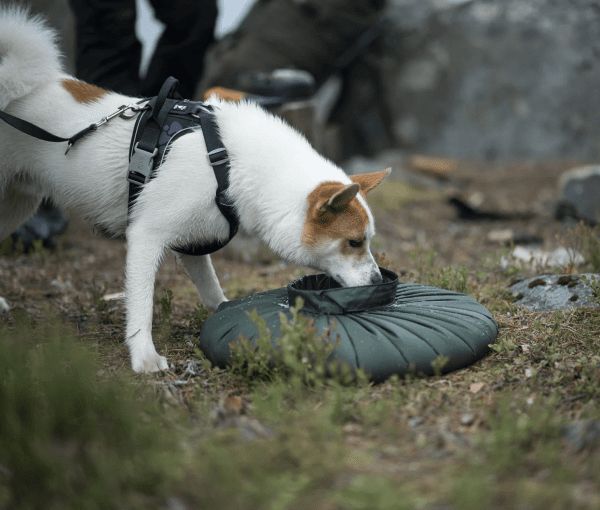 Zoom bild av Savotta Water Carrying Bag 10L