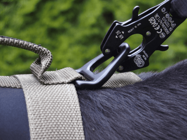 Zoom bild av K9 Thorn Hundsele Bravo